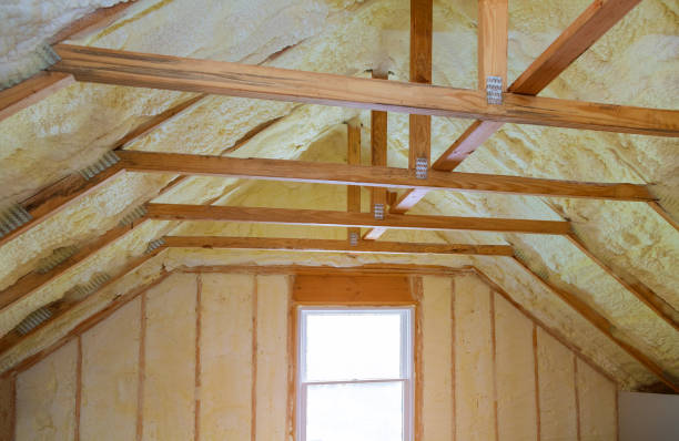 Best Geographic-Specific Insulation Services in Waukesha, WI