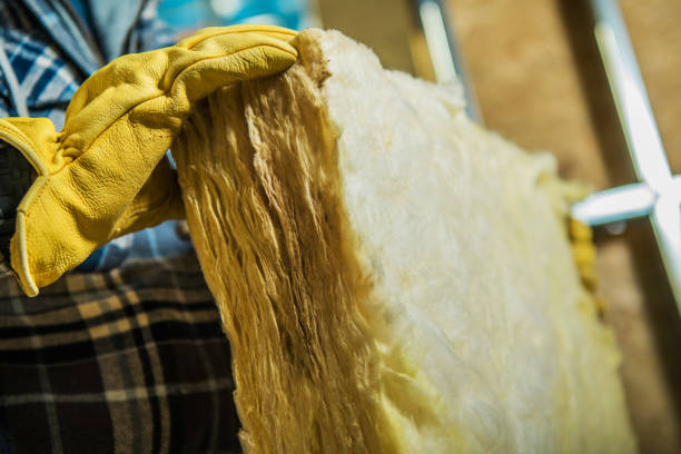 Best Cellulose Insulation in Waukesha, WI